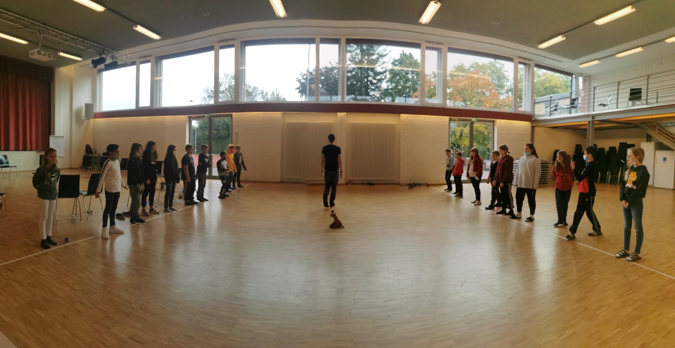 Bild
